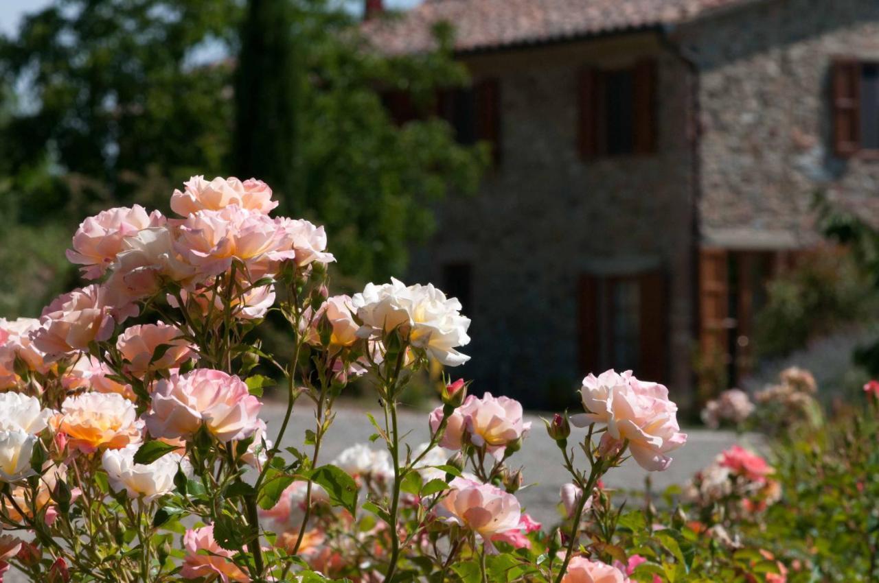 Agriturismo Le Valli Casciana Terme Eksteriør bilde